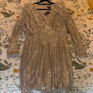 NWT EXPRESS Long Sleeve Sequin Dress - L